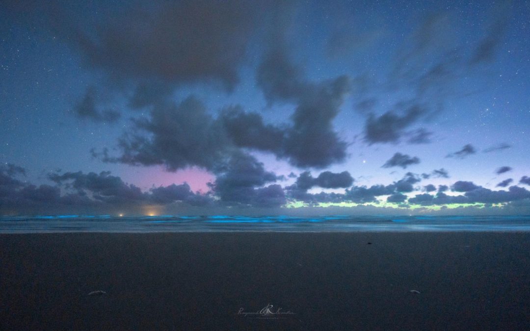 Noorderlicht vanaf Terschelling op 28 mei 2022. Op de zee is zeevonk te zien. Foto: Raymond Kamstra