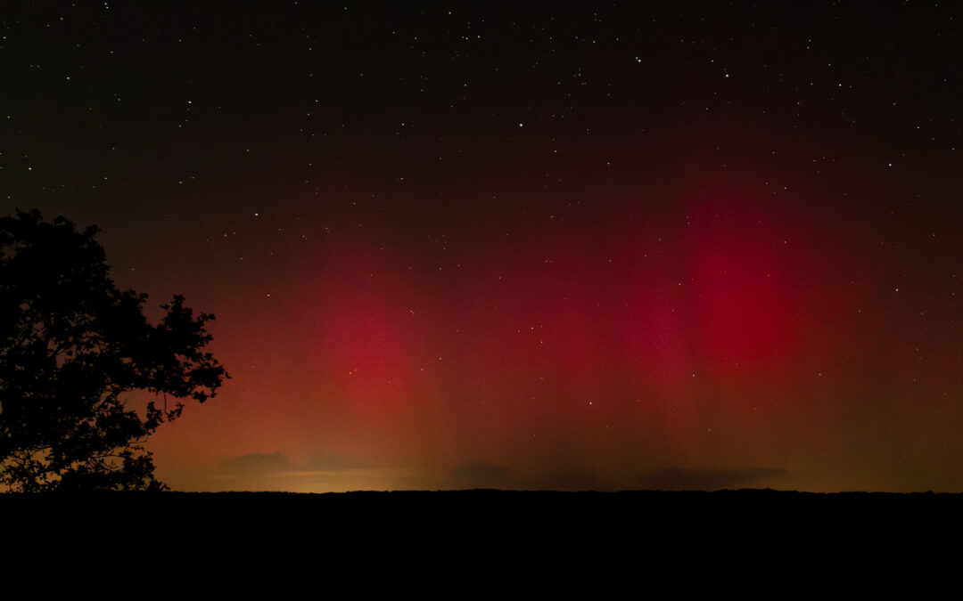 Noorderlicht in de nacht van 1 op 2 september 2025 vanaf de Veluwe. Fotograaf: Roy Keeris.